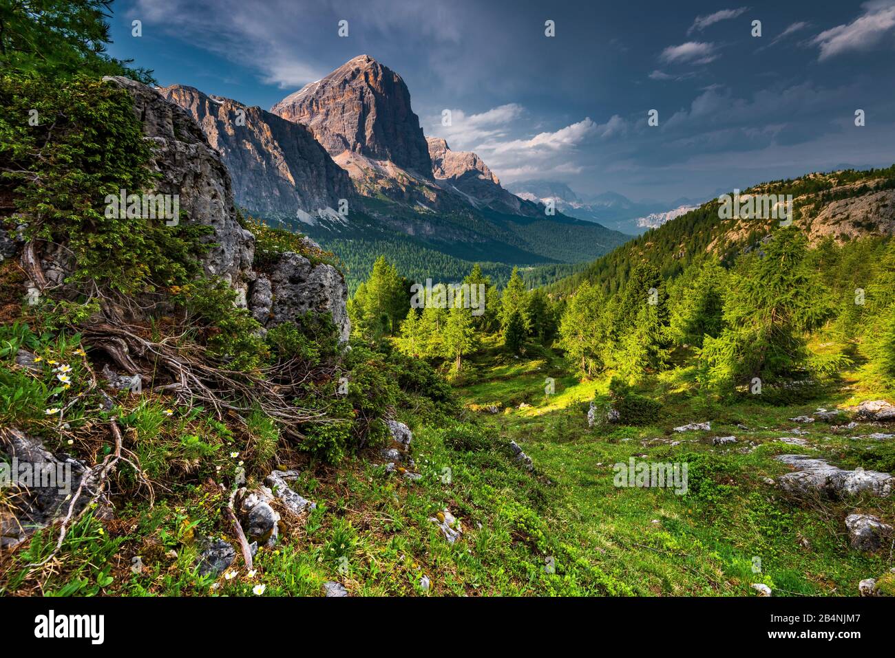 Pass Falzarego, Cortina d'Ampezzo, Dolomites, South Tyrol, Italy Stock Photo
