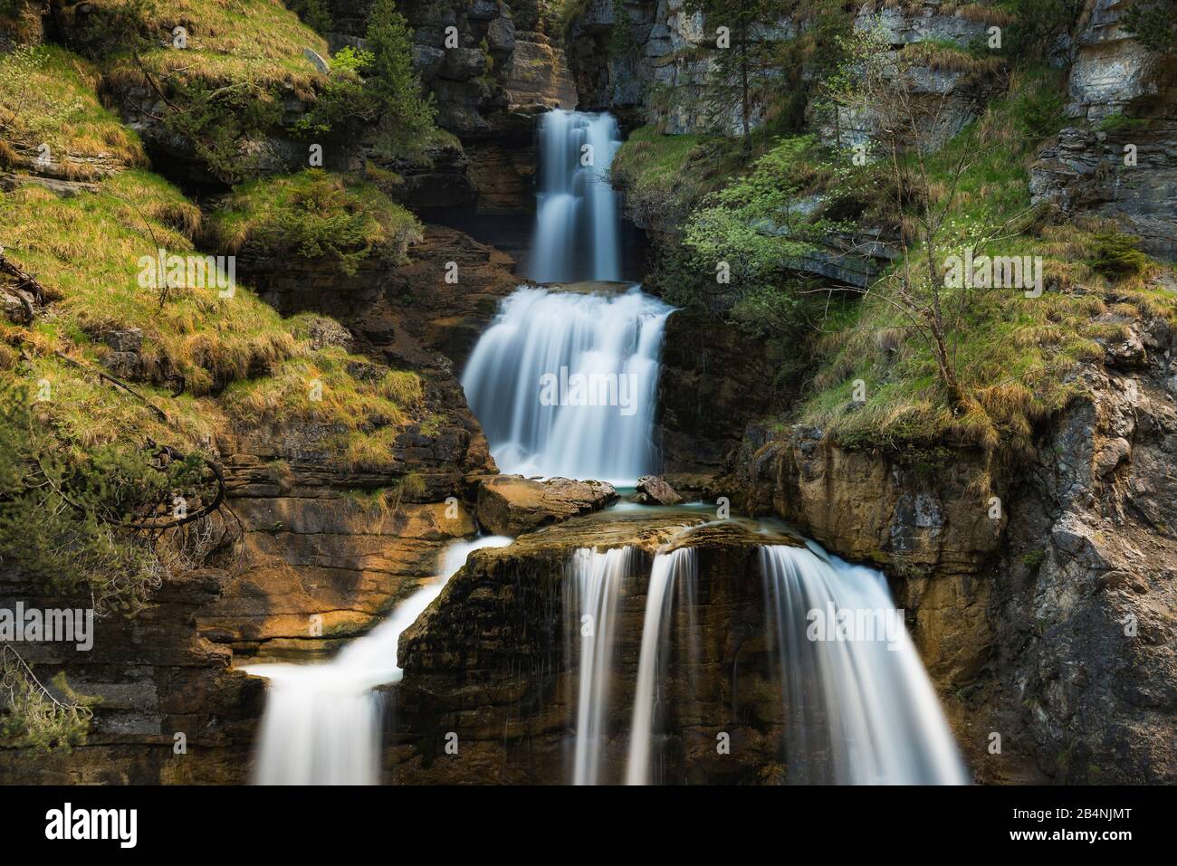 Cow escape waterfalls, Farchant, Bavaria, Germany Stock Photo