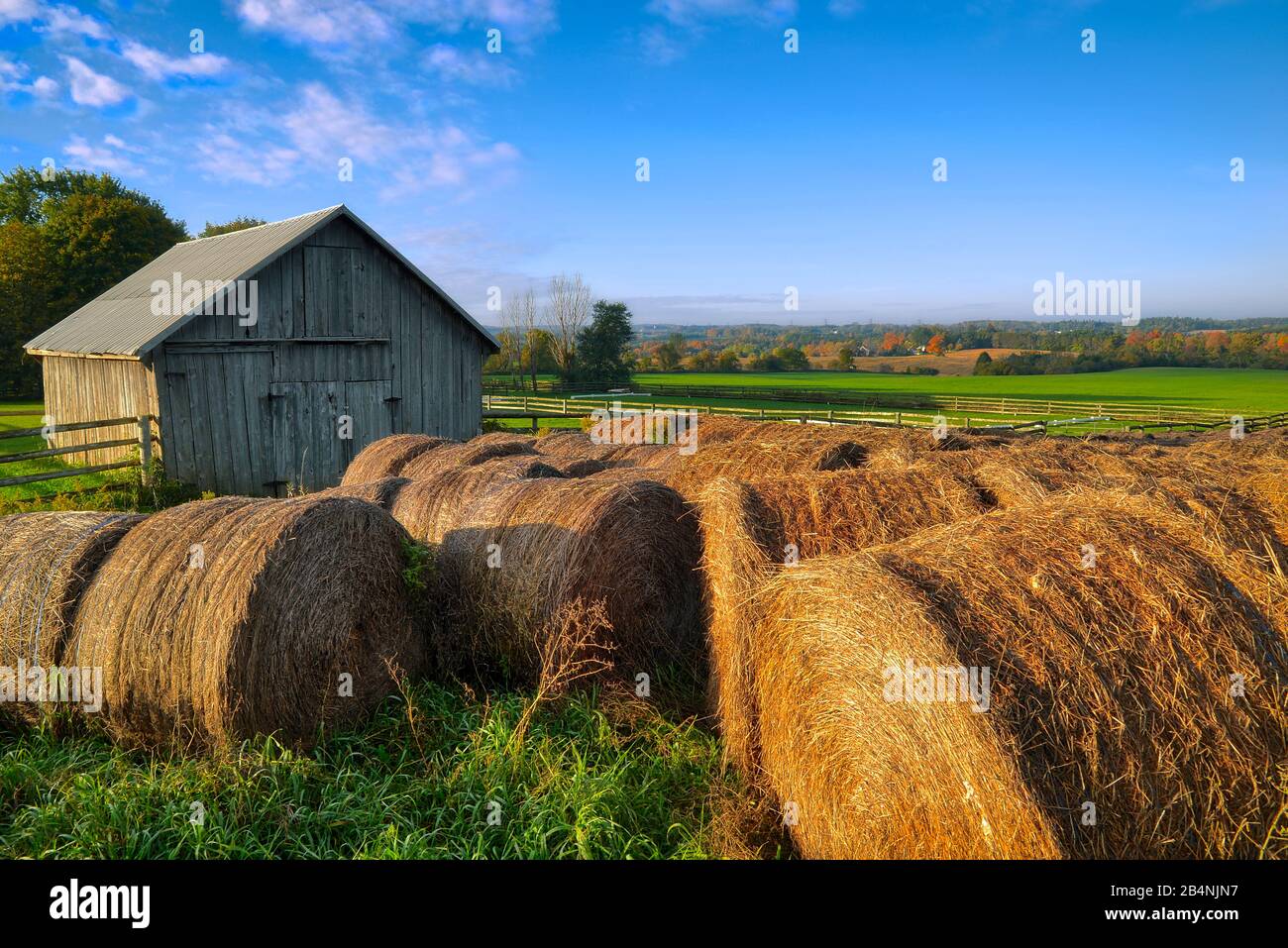 Bale of hay on-farm, Georgetown, Ontario, Canada. Stock Photo