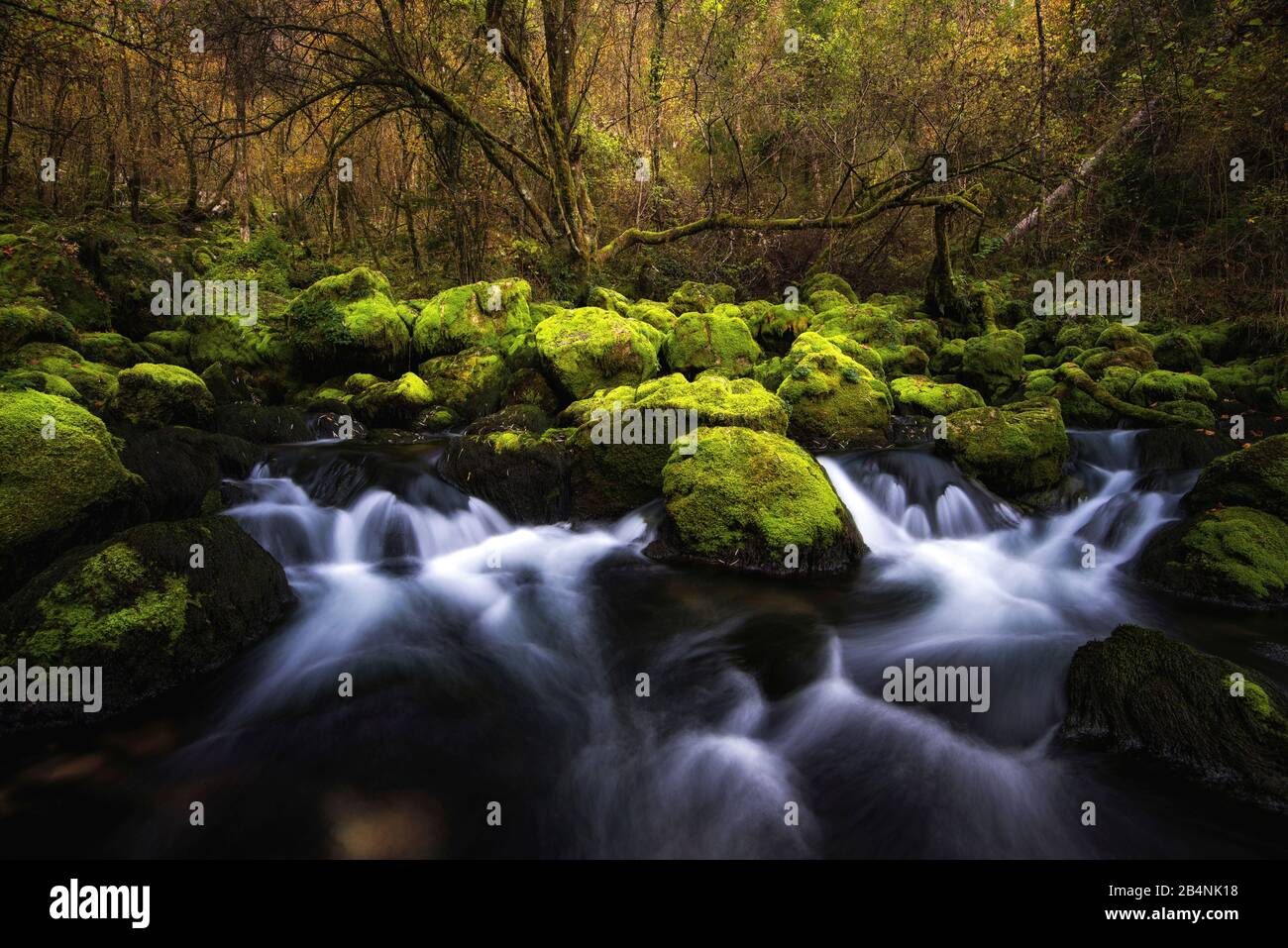 Izvir Gljuna source near Pluzna, Soca Valley, Slovenia Stock Photo