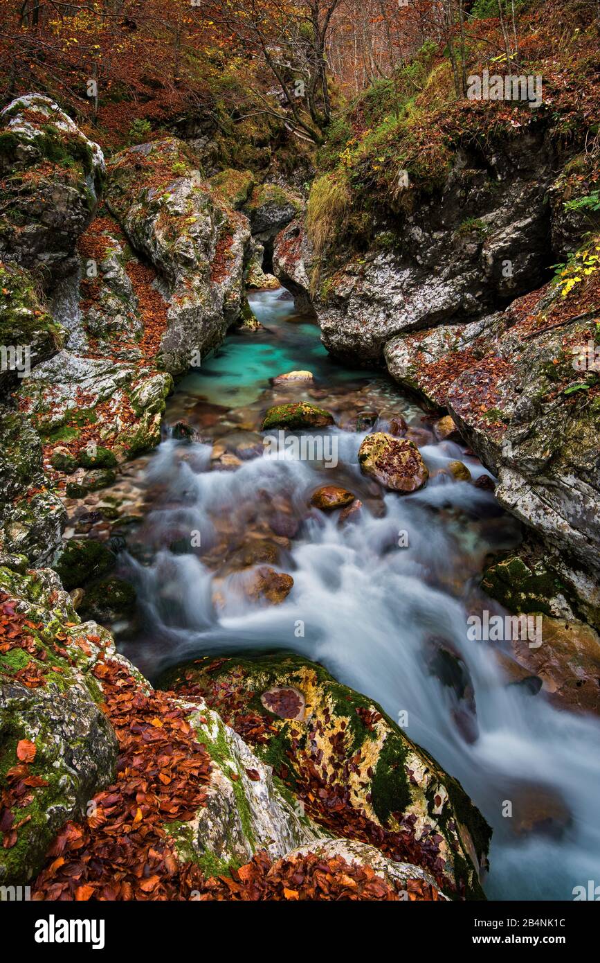 NemÄlja stream near Log pod mangartom, Soca Valley, Slovenia Stock Photo