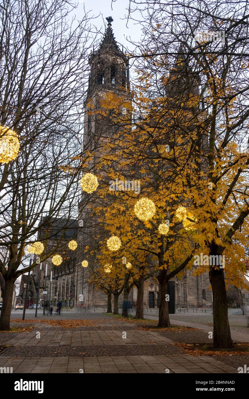 Germany, Saxony-Anhalt, Magdeburg, light balls hang in the trees in front of the cathedral, they belong to the Magdeburg light world with numerous Christmas motifs Stock Photo