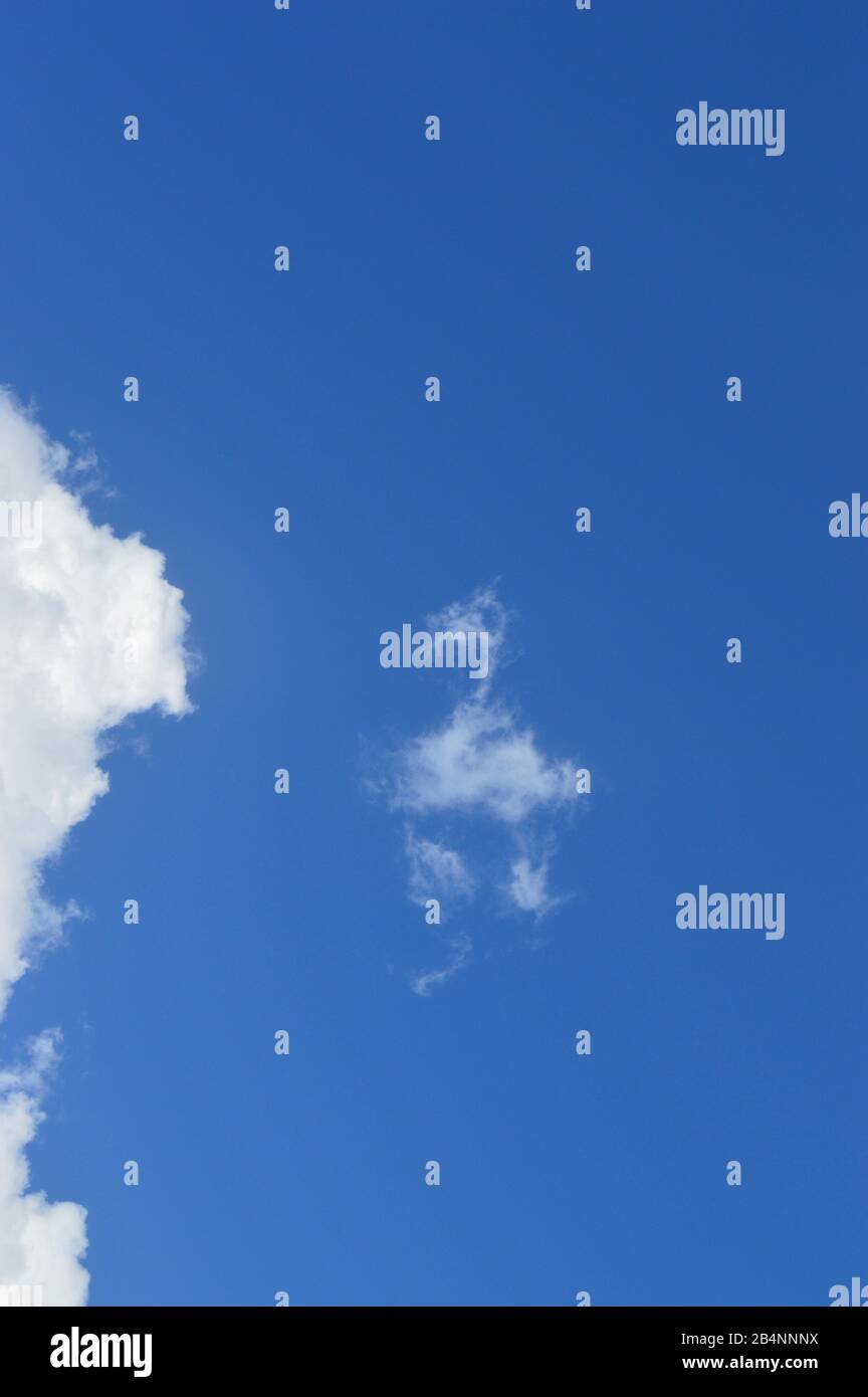 Cumulus cloud reminiscing a prehistoric bird Stock Photo