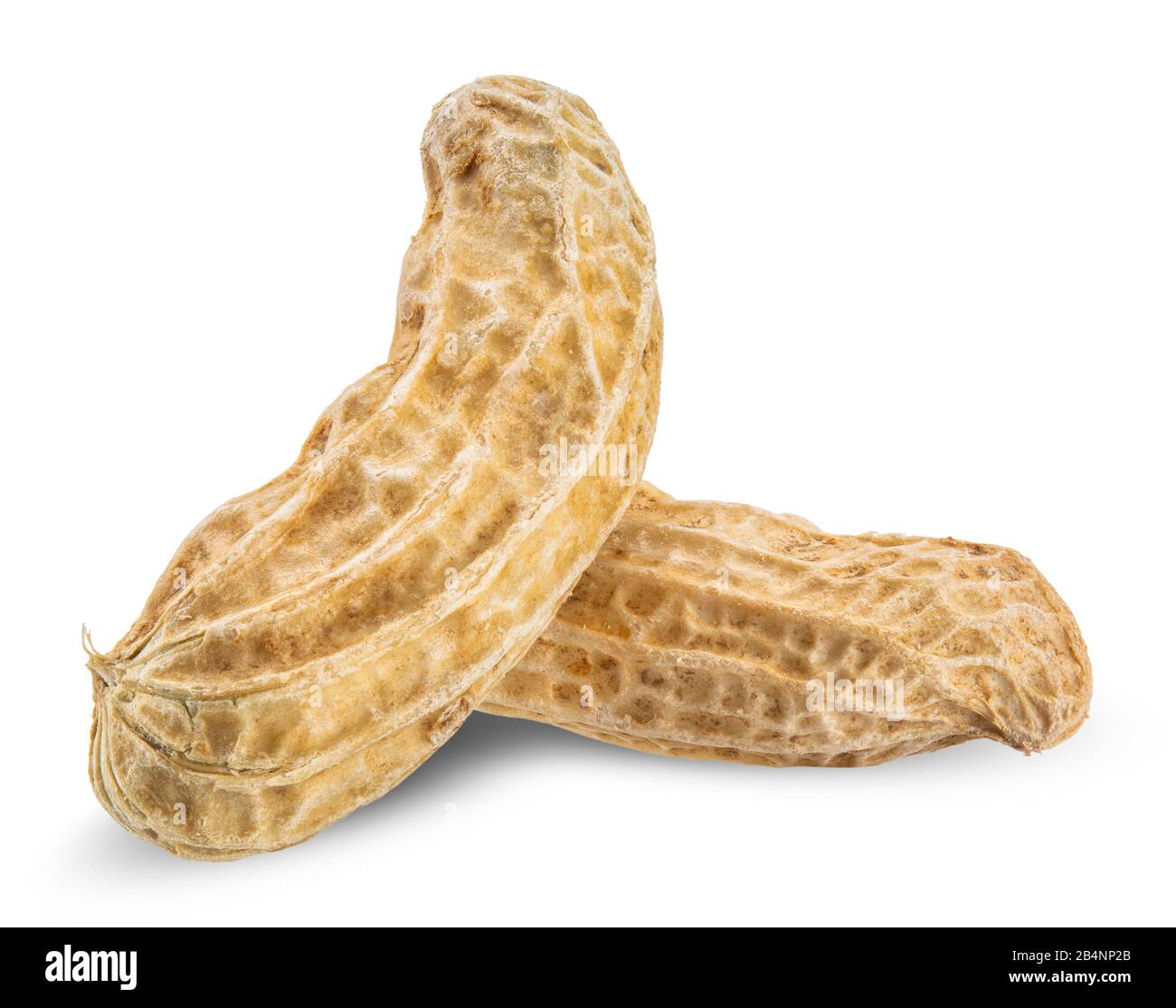 peanut isolated on white, peanut clipping path all focus Stock Photo