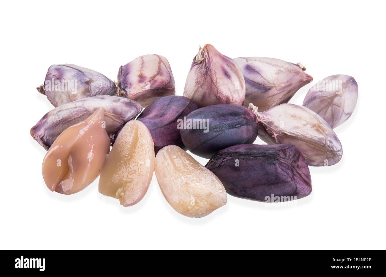 peanut bean isolated on white, peanut clipping path Stock Photo