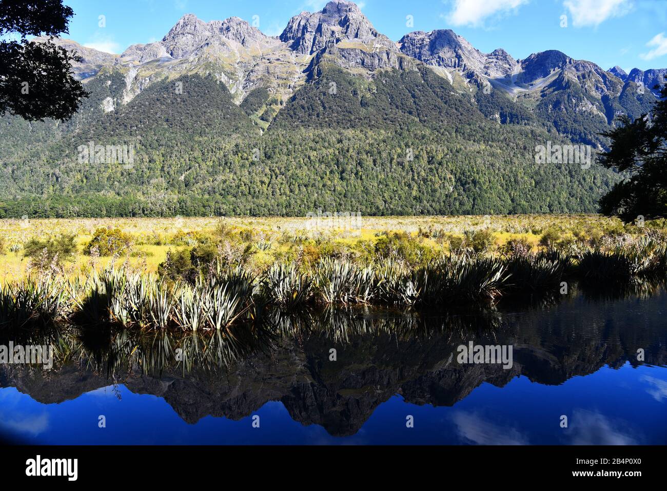 mirror lake,te anau,new zealand Stock Photo Alamy