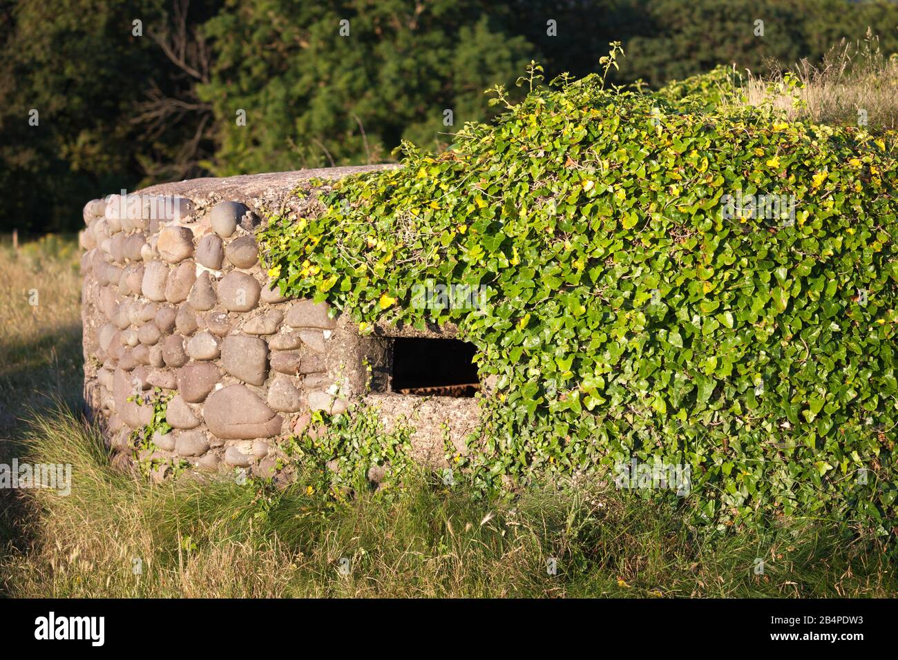 War bunker at Minehead Somerset UK Stock Photo