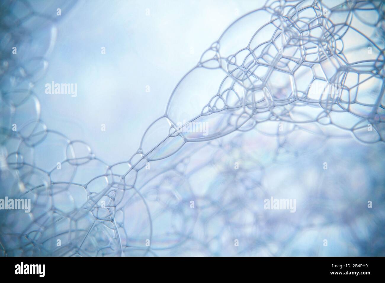 Macro shots soapy water bubbles close-up Stock Photo