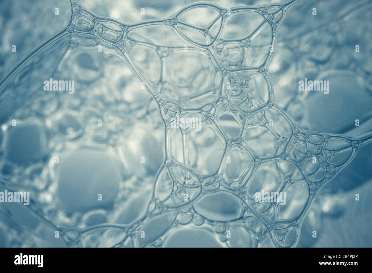 Macro shots soapy water bubbles close-up Stock Photo