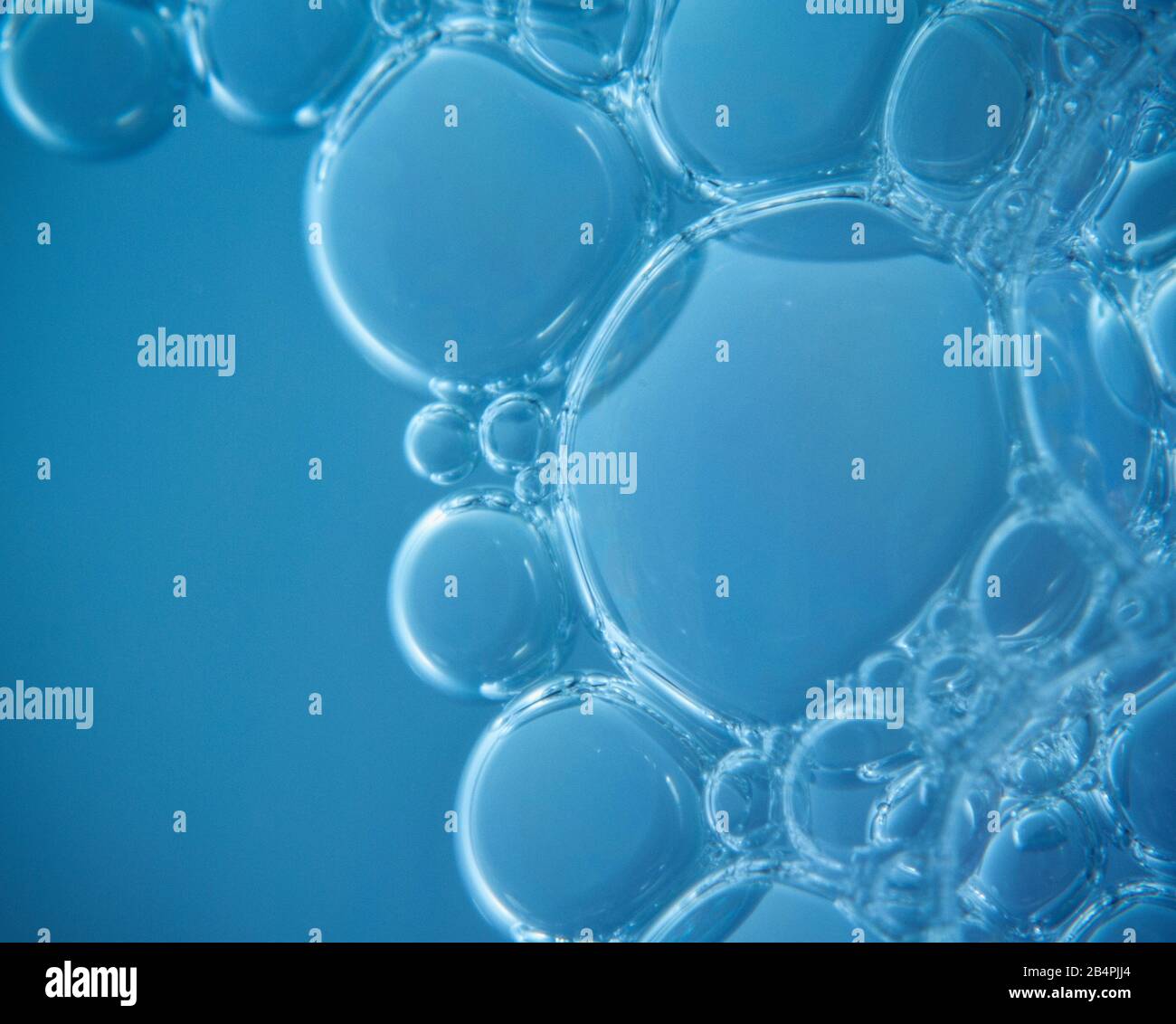 Macro shots soapy water bubbles close-up Stock Photo