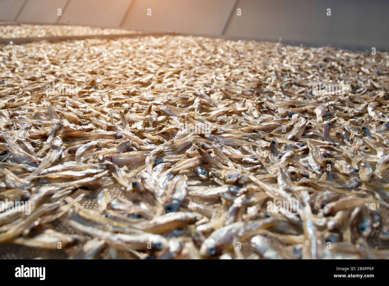 Sun dry of fish hi-res stock photography and images - Alamy