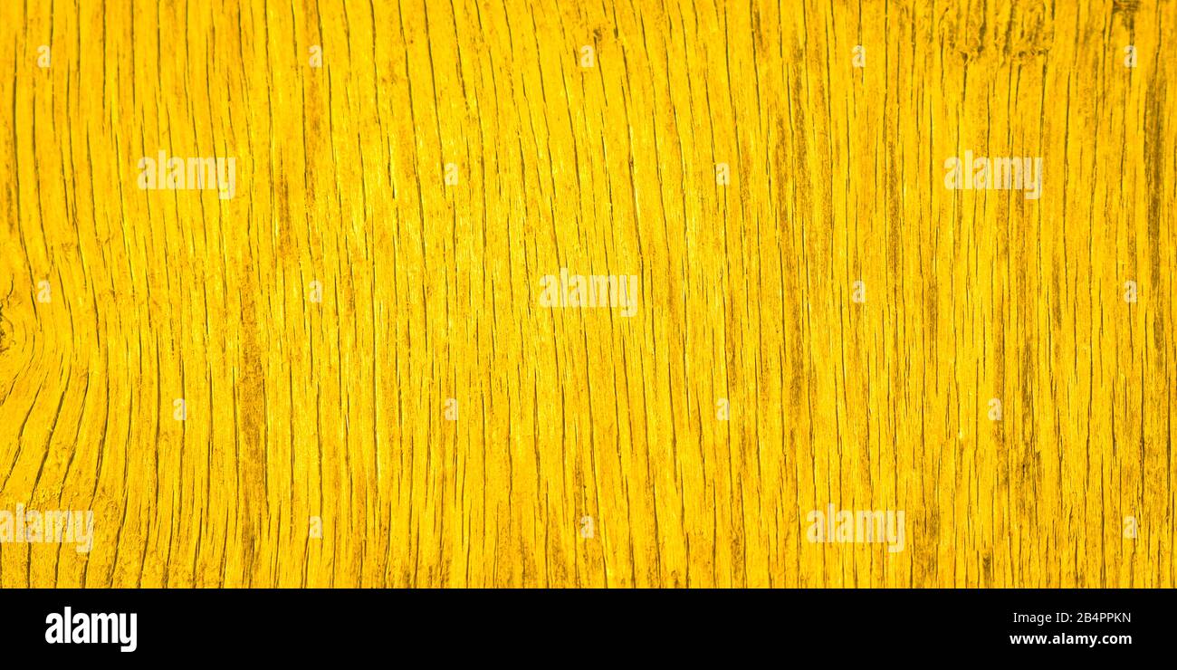 Vibrant yellow wood texture. The texture of the old dried plywood ...