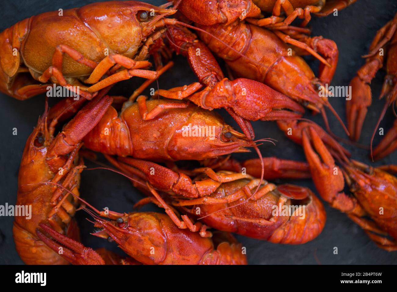 Crawfish louisiana net hi-res stock photography and images - Alamy