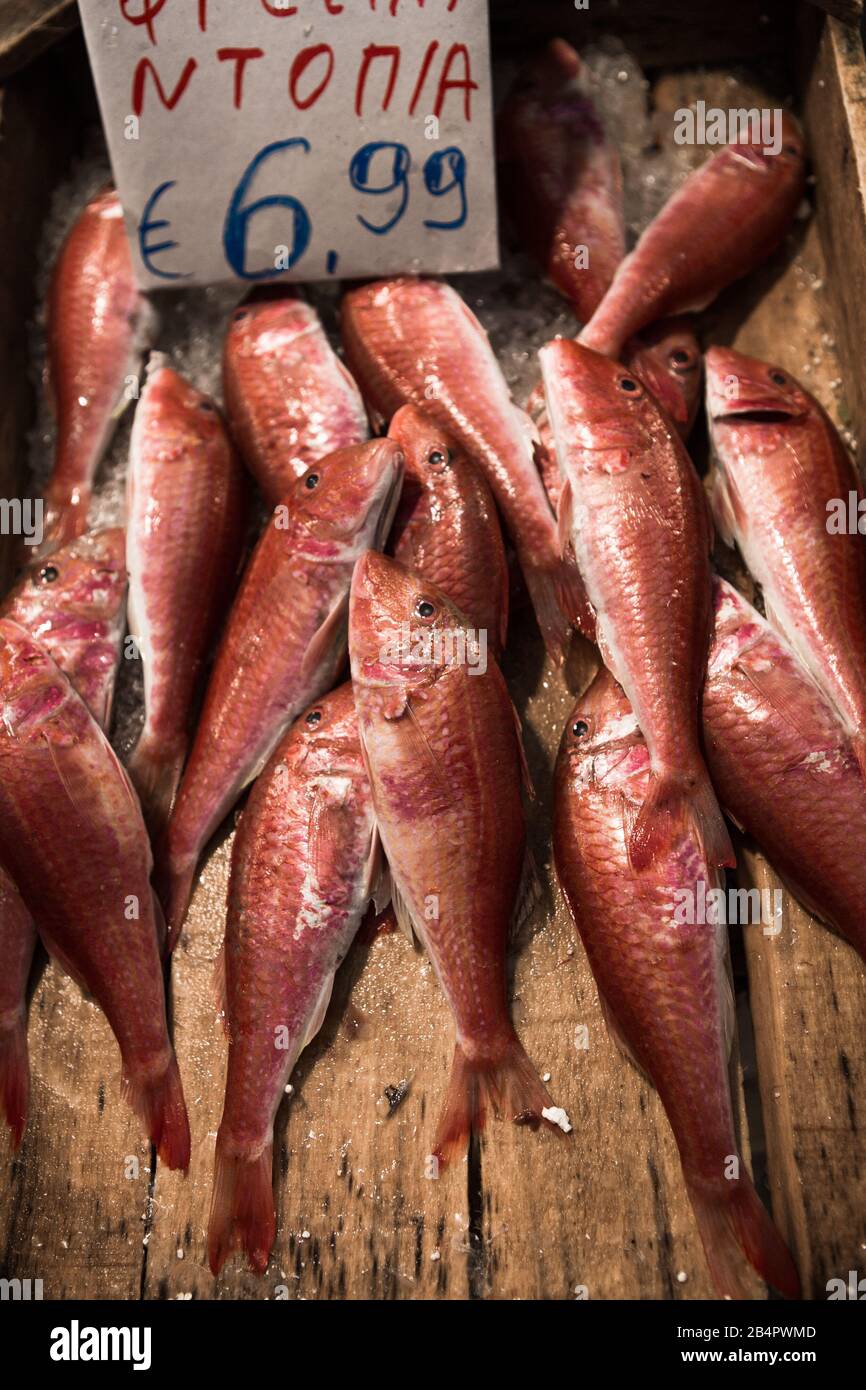 Fish on market, black scabbard (espada) in fish market Stock Photo