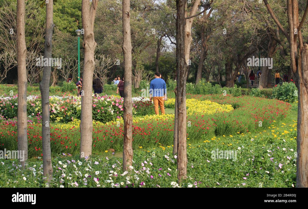 Spring In Delhi Colorful Spring flowers in Nehru Park, New Delhi, India Stock Photo - Alamy