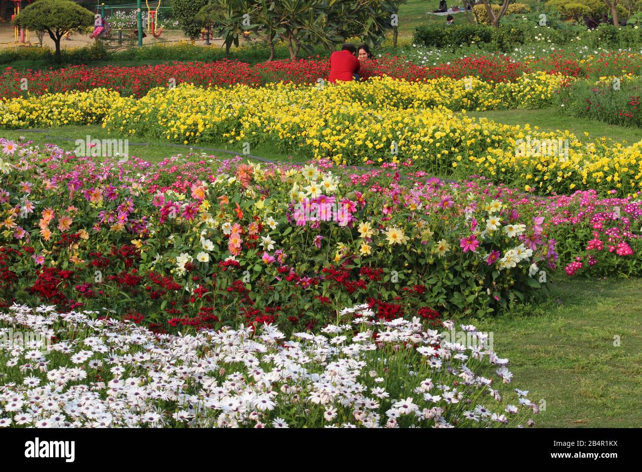 Spring In Delhi Colorful Spring flowers in Nehru Park, New Delhi, India Stock Photo - Alamy