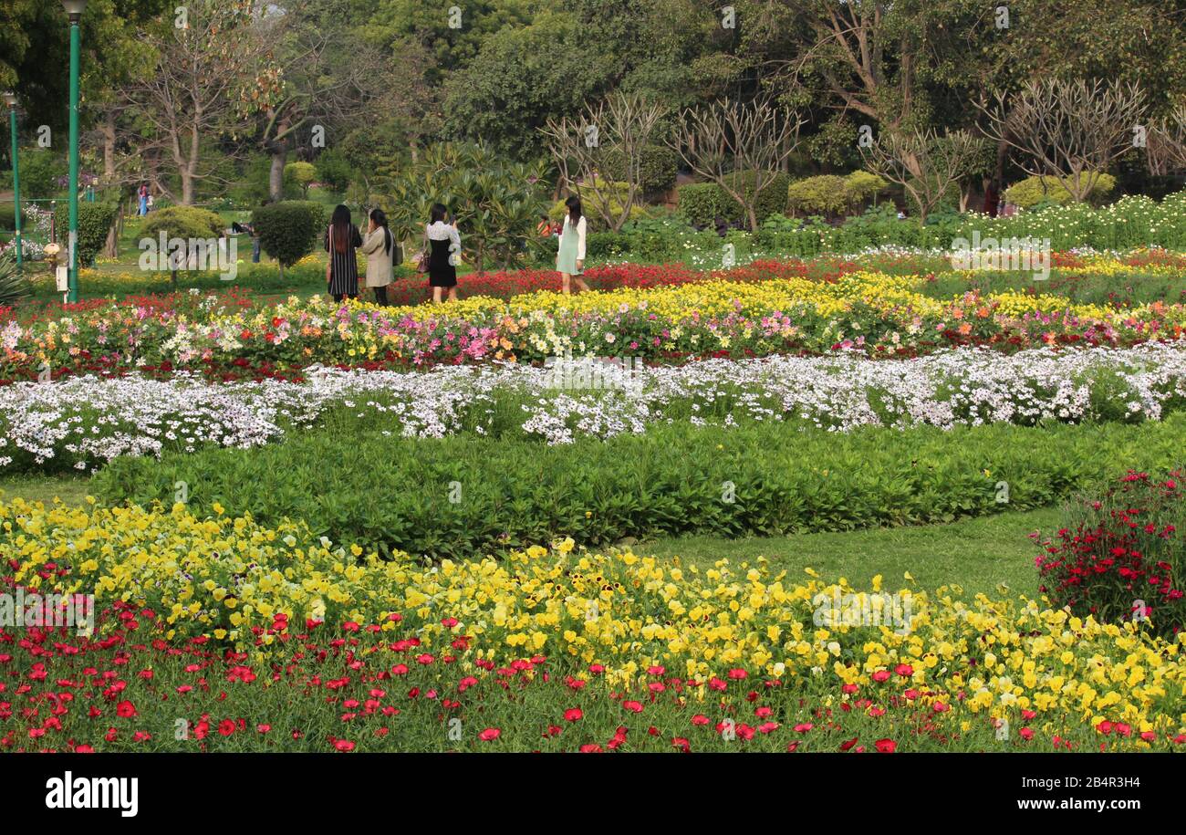 Spring In Delhi Colorful Spring flowers in Nehru Park, New Delhi, India Stock Photo - Alamy