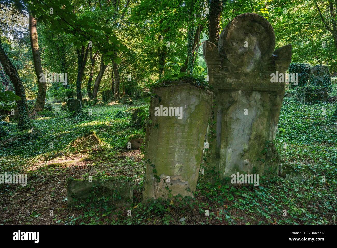 Gravestones at New Jewish Cemetery in Przemysl, Malopolska, Poland Stock Photo