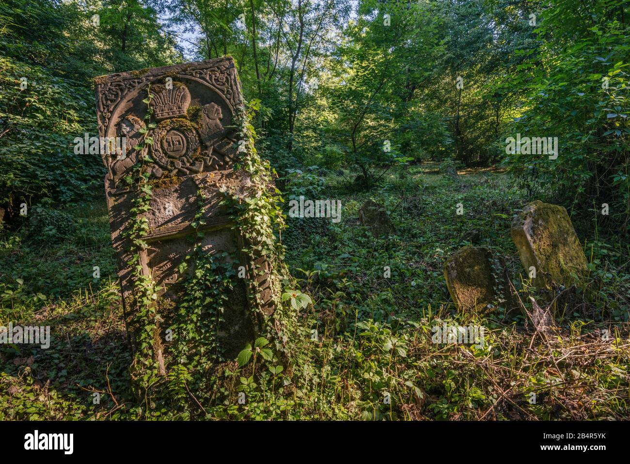 Ivy-covered gravestones at New Jewish Cemetery in Przemysl, Malopolska, Poland Stock Photo