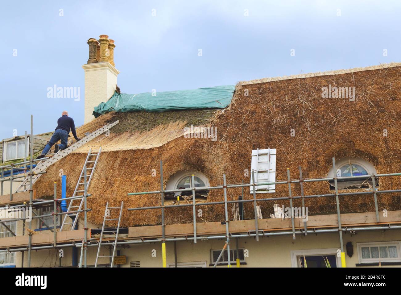 Worker thatching a roof with water reed in Sidmouth, Devon Stock Photo