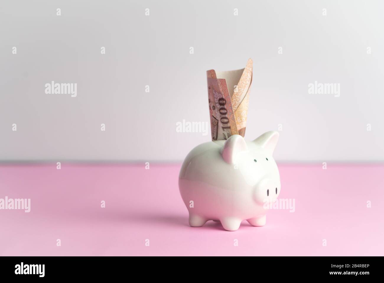 Money Saving And Donation Concept, Money On Cute White Piggy Bank On 