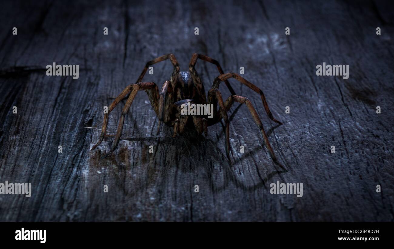 big halloween spider
