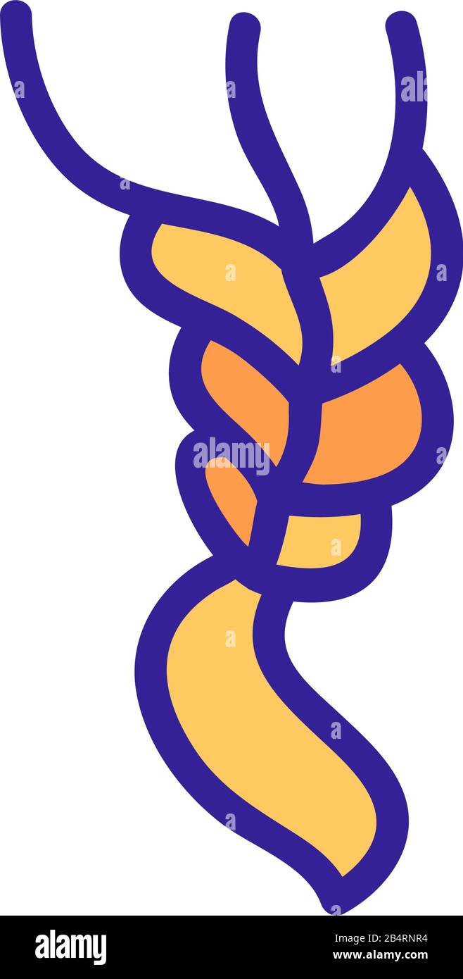 braid icon vector. Isolated contour symbol illustration Stock Vector ...