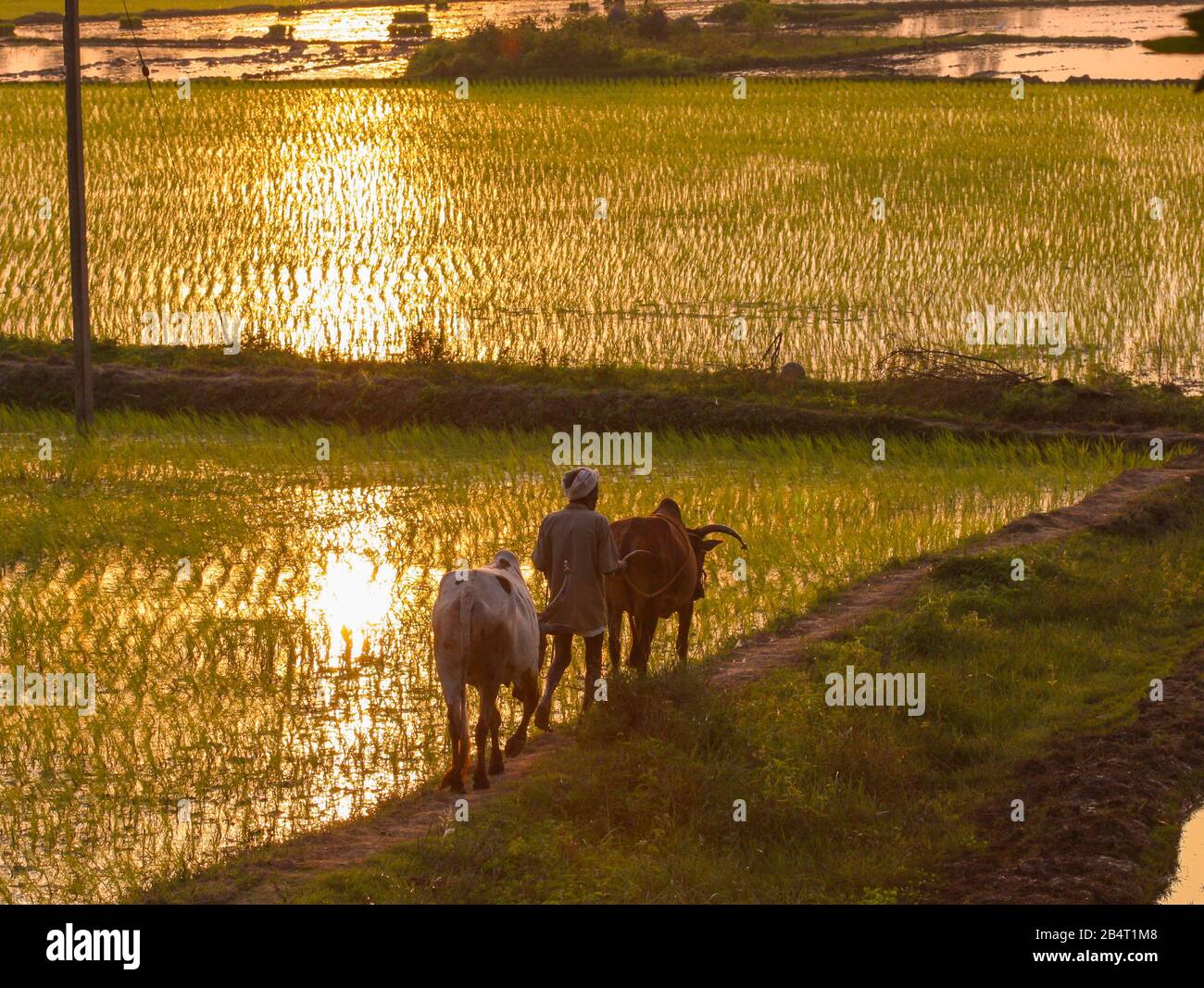 Tamil nadu village hi-res stock photography and images - Alamy
