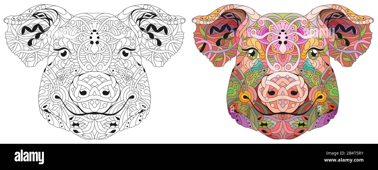 Zentangle pig head. Hand drawn decorative vector illustration Stock Vector