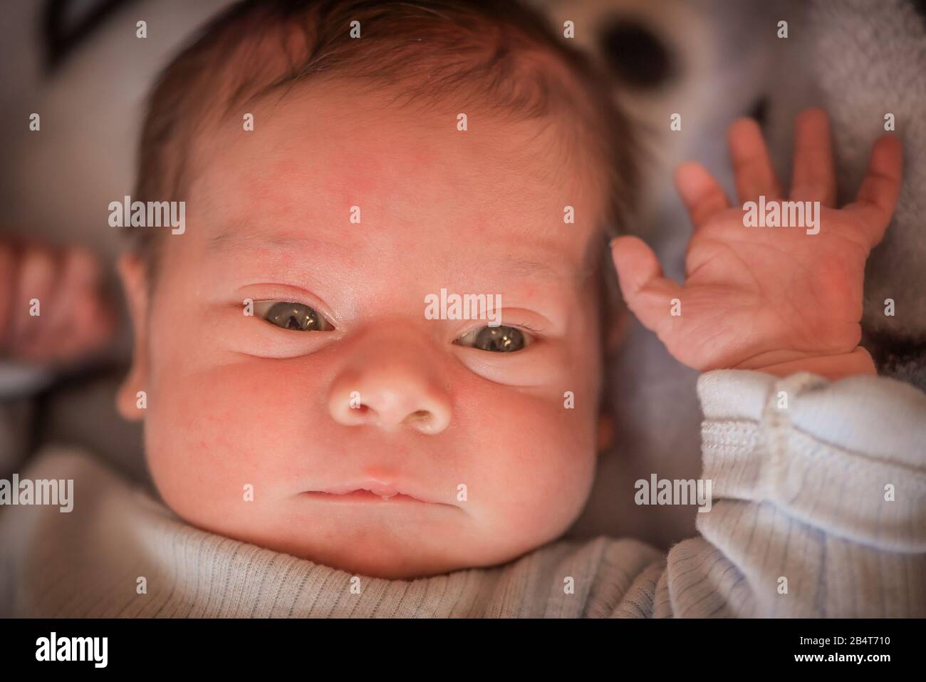 Close up of a newborn baby boy laying in the bed Stock Photo