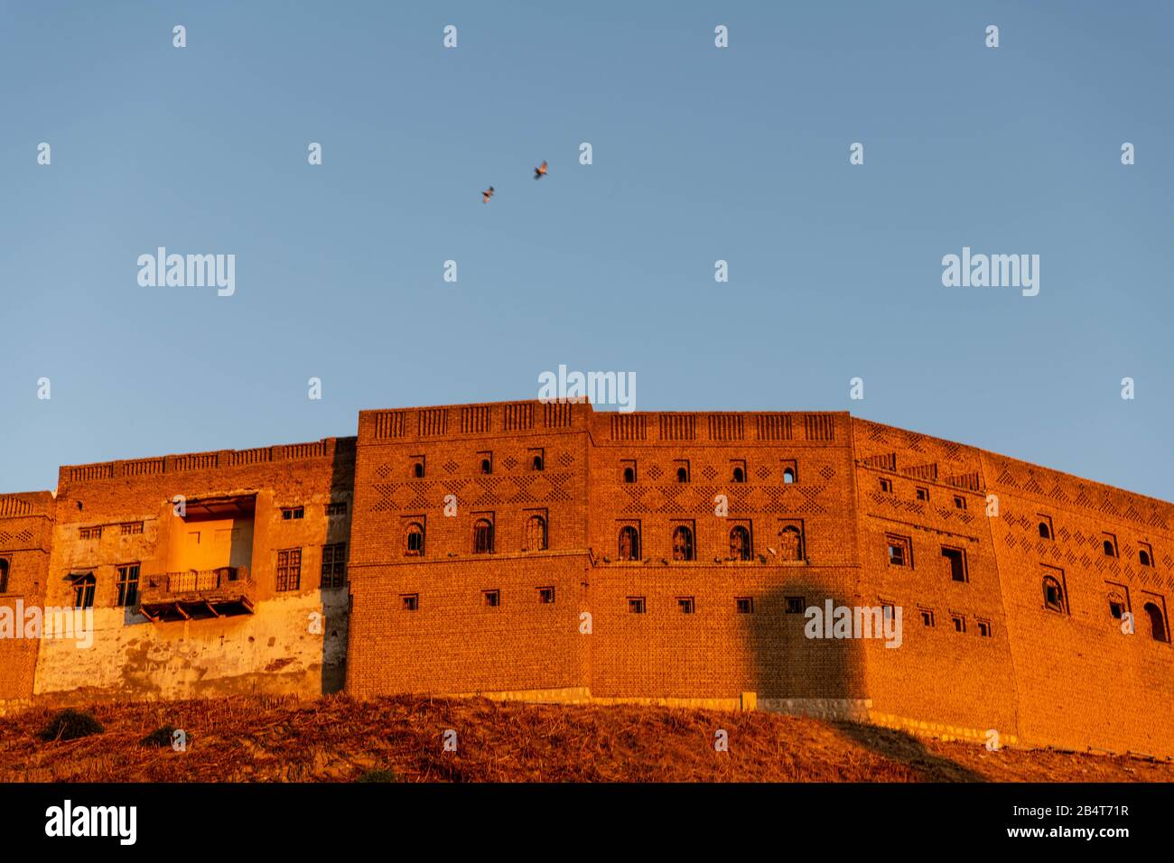 Iraq, Iraqi Kurdistan, Arbil, Erbil. View of the Qalat citadel at sunset. Birds are flying in the background. Stock Photo