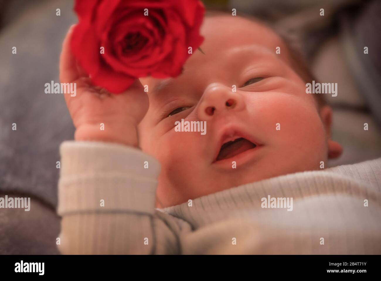 Close up of a newborn baby boy holding a rose in his hand and  laying in the bed Stock Photo