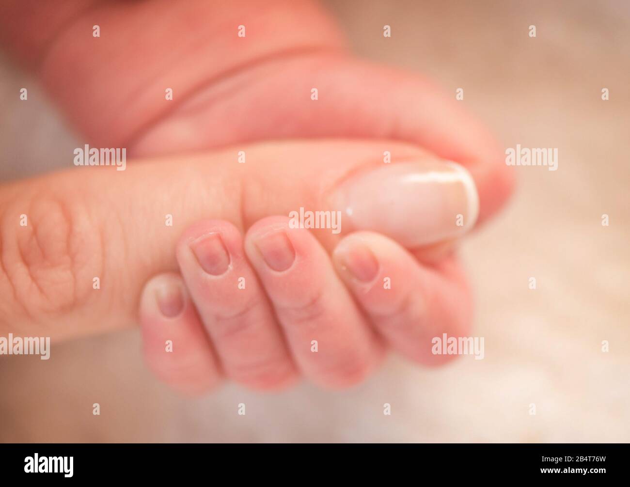 https://c8.alamy.com/comp/2B4T76W/close-up-of-a-newborn-baby-holding-mothers-finger-2B4T76W.jpg