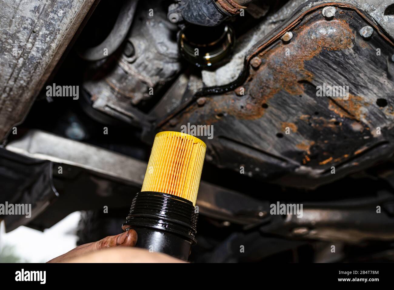 The car mechanic screws a new oil filter on the bottom of the engine
