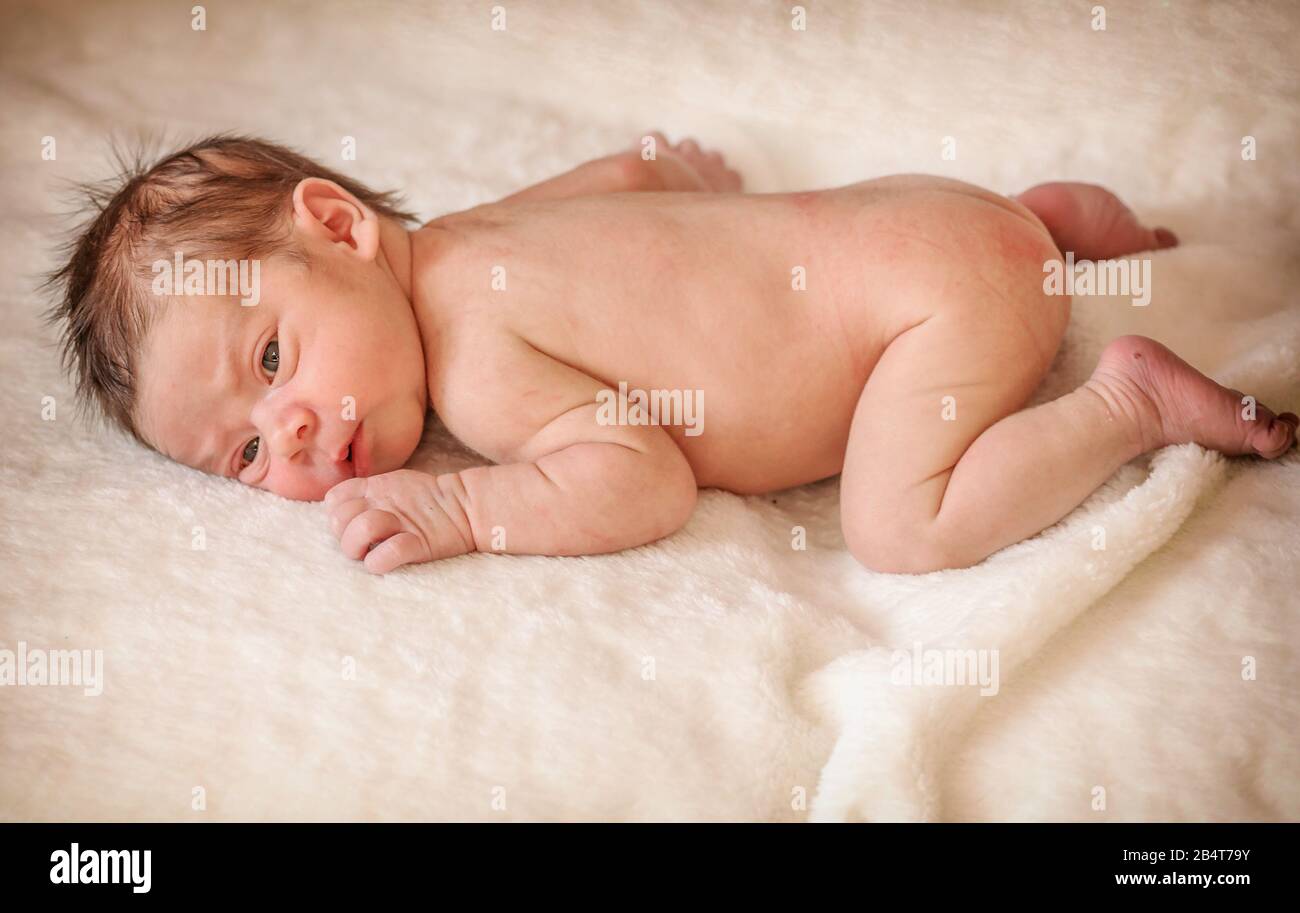 Newborn infant naked baby boy laying on the blanket Stock Photo