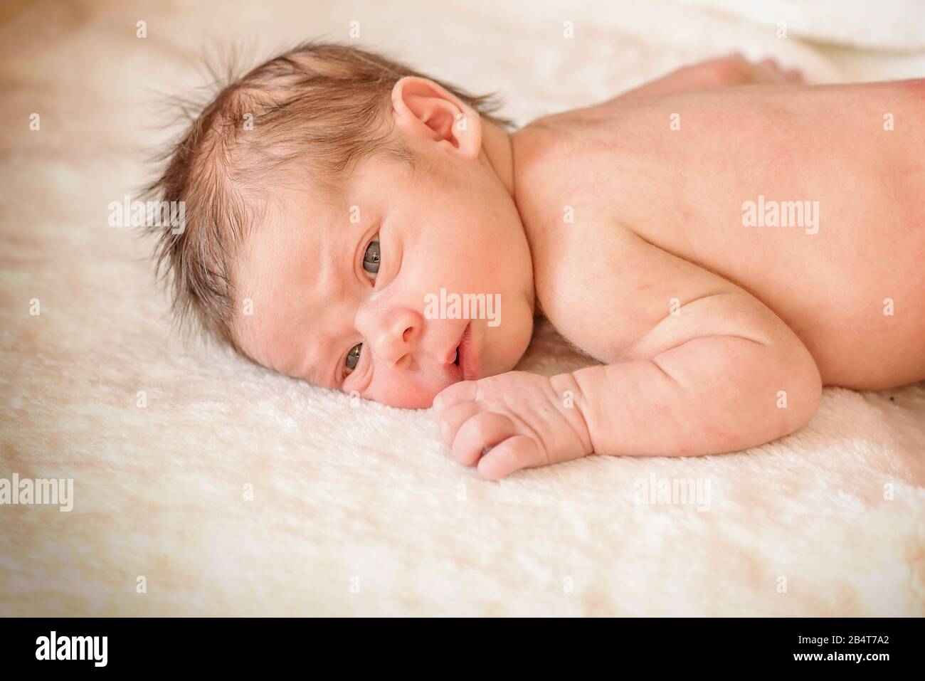 Newborn infant naked baby boy laying on the blanket Stock Photo