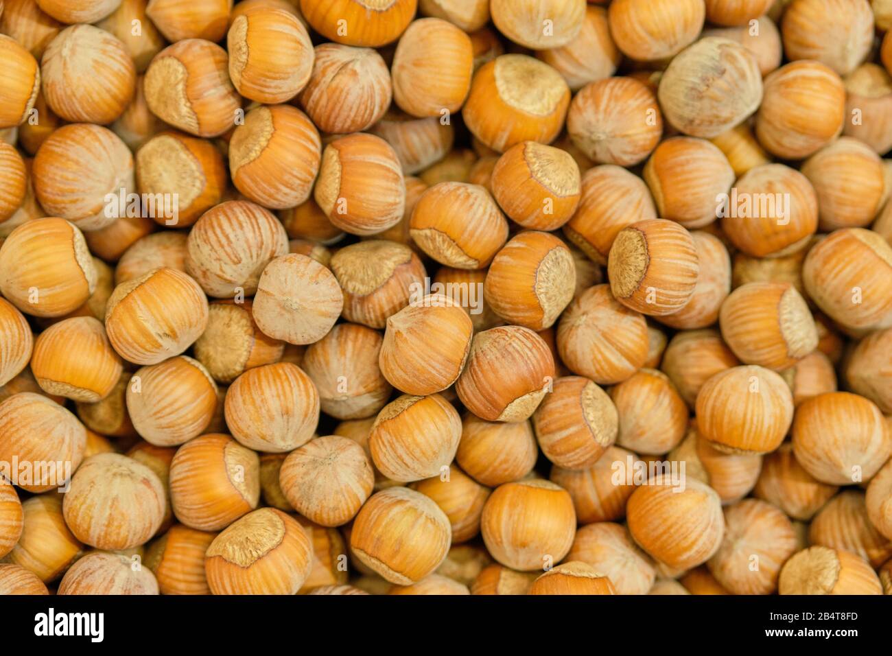 Background texture of hazelnut nuts. Top view. Close up. Stock Photo