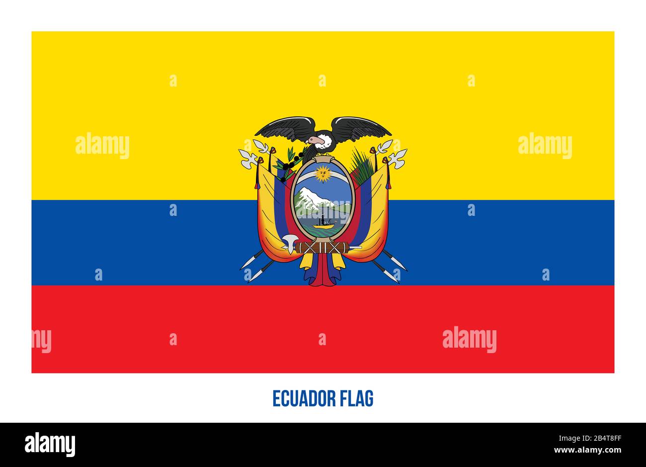 Ecuador Flag Vector Illustration on White Background. Ecuador National