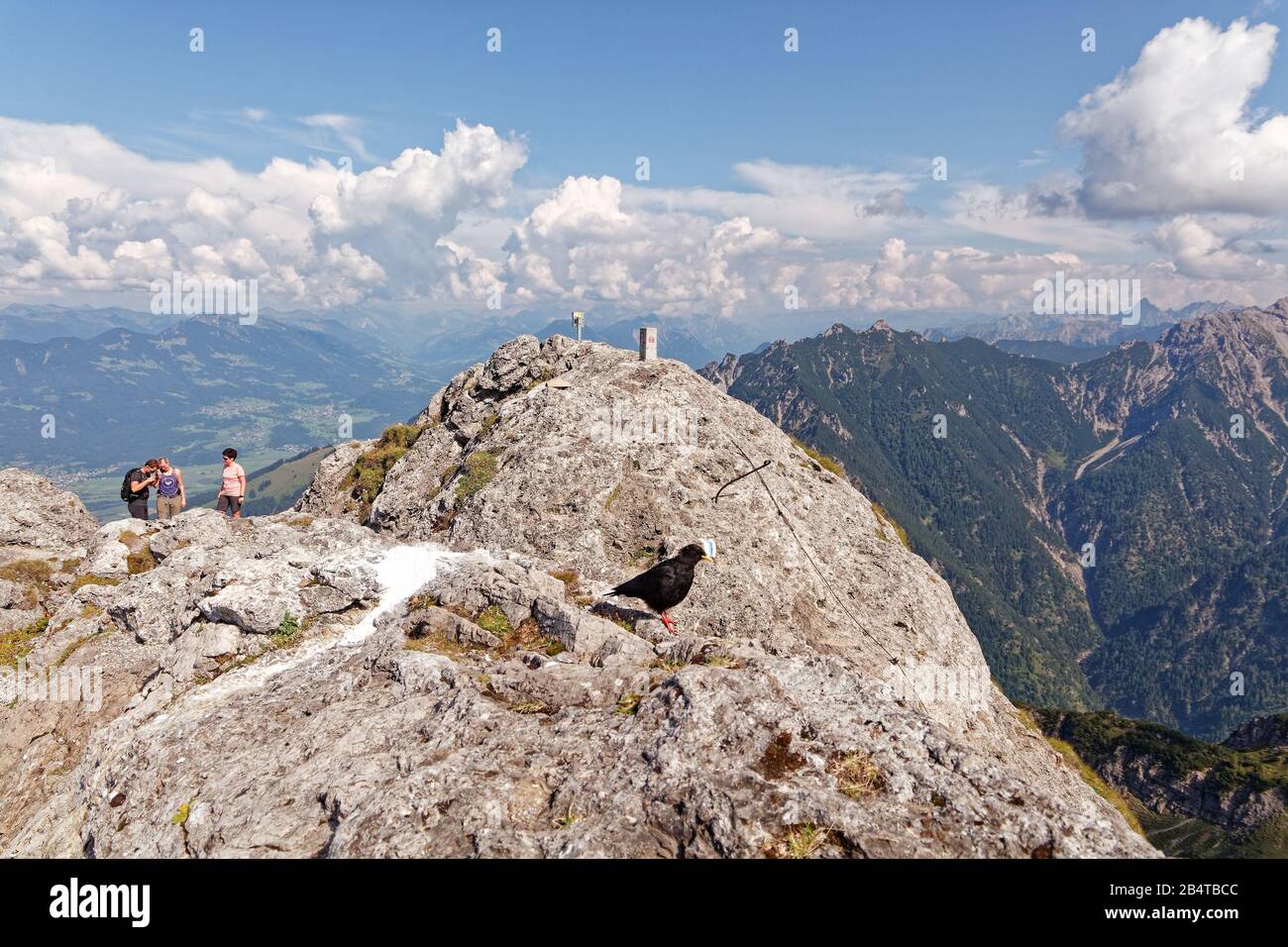 Drei Schwestern, Vorarlberg, Austria - August 25, 2019: Bird and tourists at summit of Drei Schwestern (The Three Sisters ) with views of Rhine Valley Stock Photo