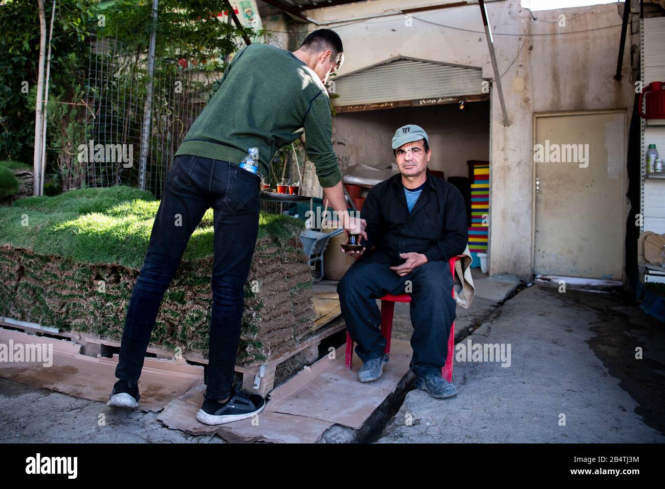Iraq, Iraqi Kurdistan, Arbil, Erbil. The boss of a flower shop in Erbil is being served a cup of