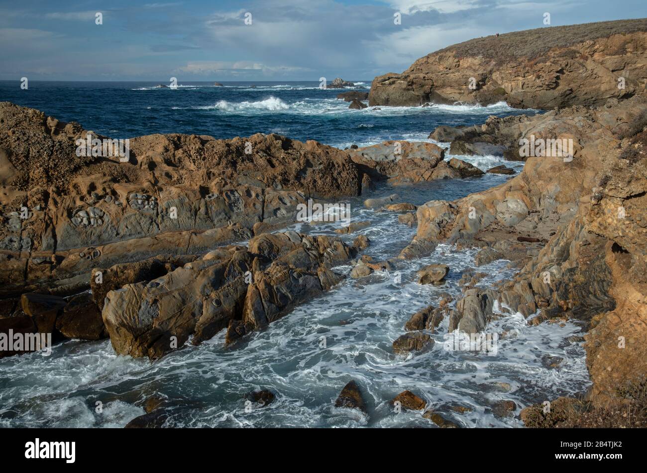 The coast on the southern side of Point lobos state reserve, with the Pacific Ocean. California. Stock Photo