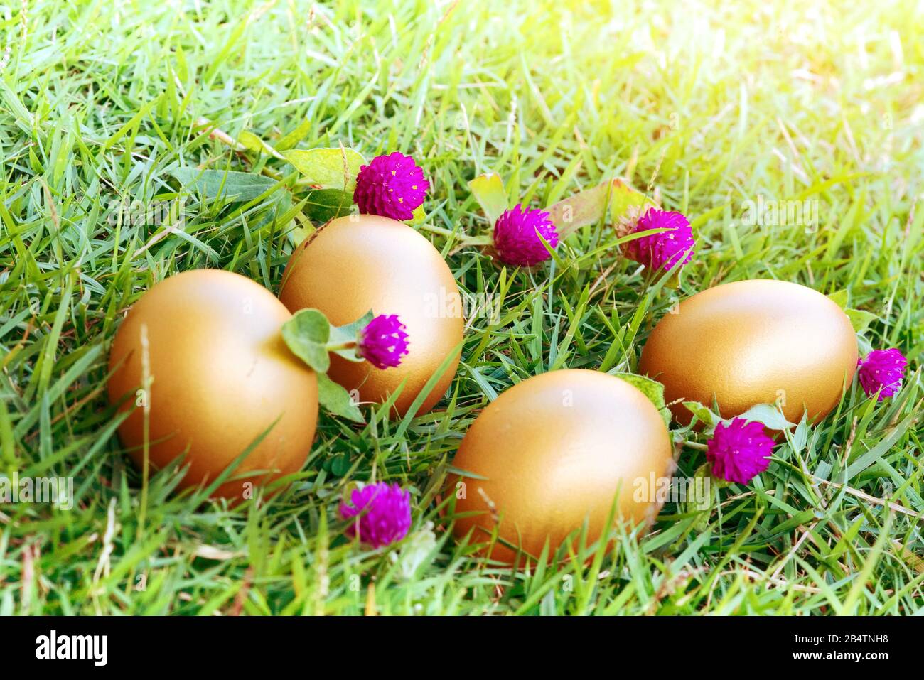 Easter egg ! happy colorful Easter sunday hunt holiday decorations Easter concept backgrounds Stock Photo
