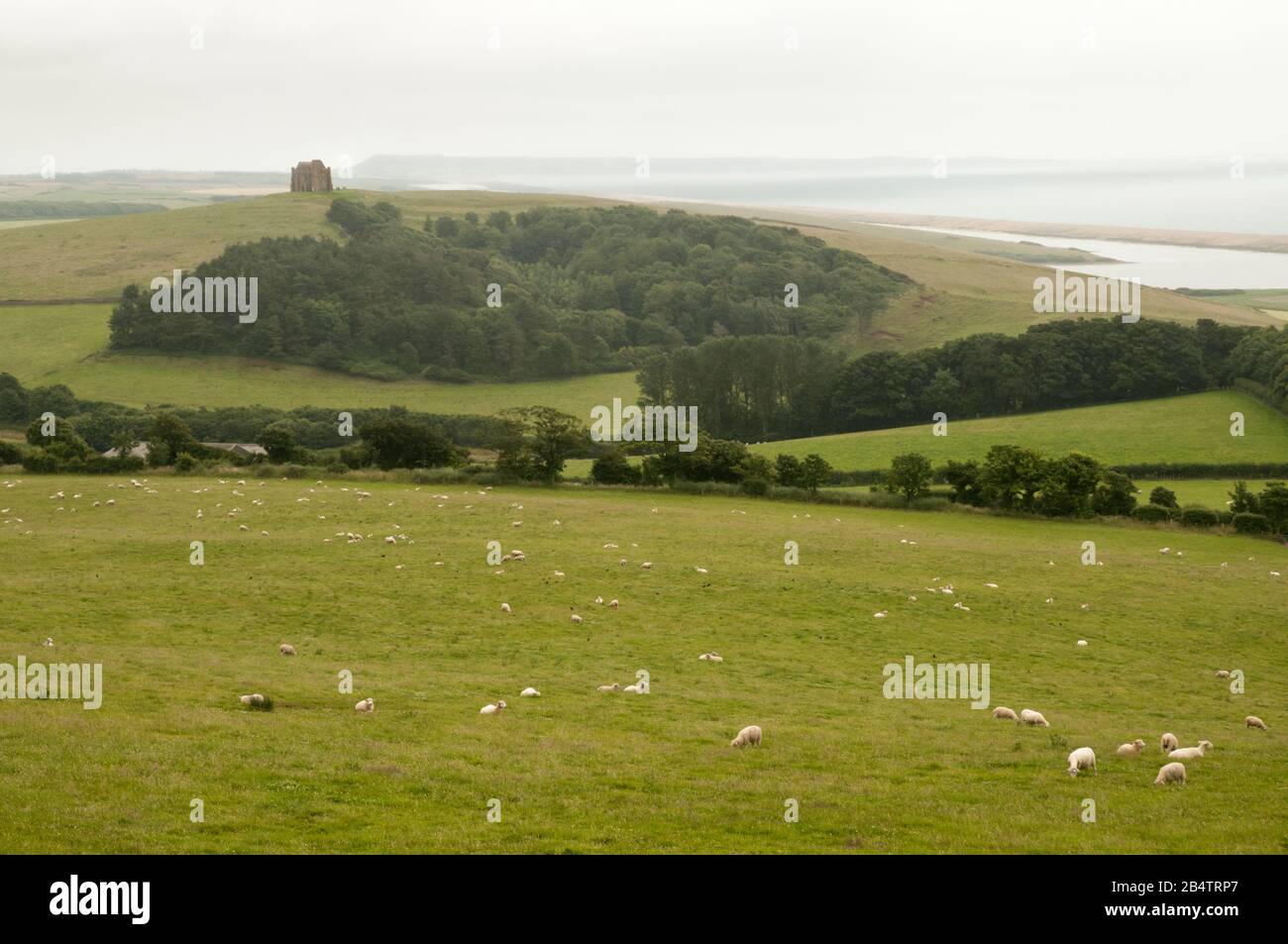 Views to St Catherine's Chapel in Abbotsbury and Chesil beach on the West Dorset Heritage Coast, Dorset, England, on a misty summer's day. Stock Photo