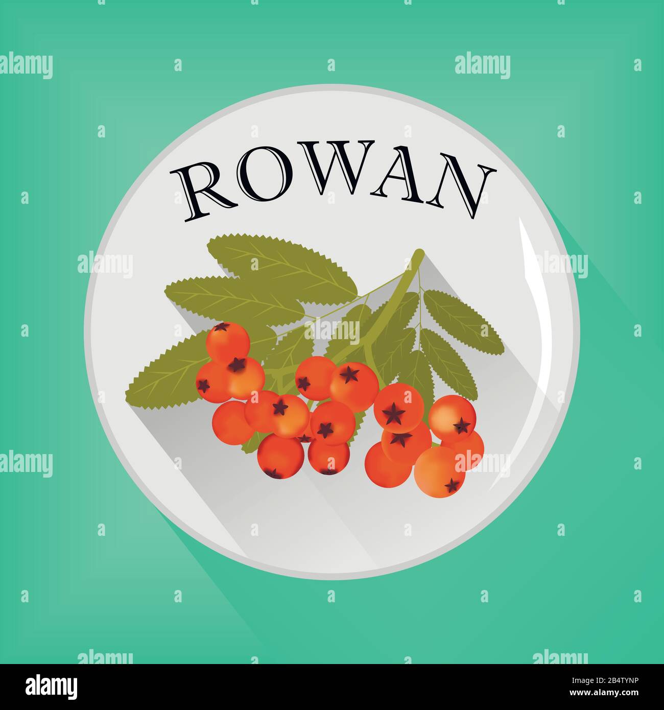 Rowan seasoning sticker flat icon vector image Stock Vector