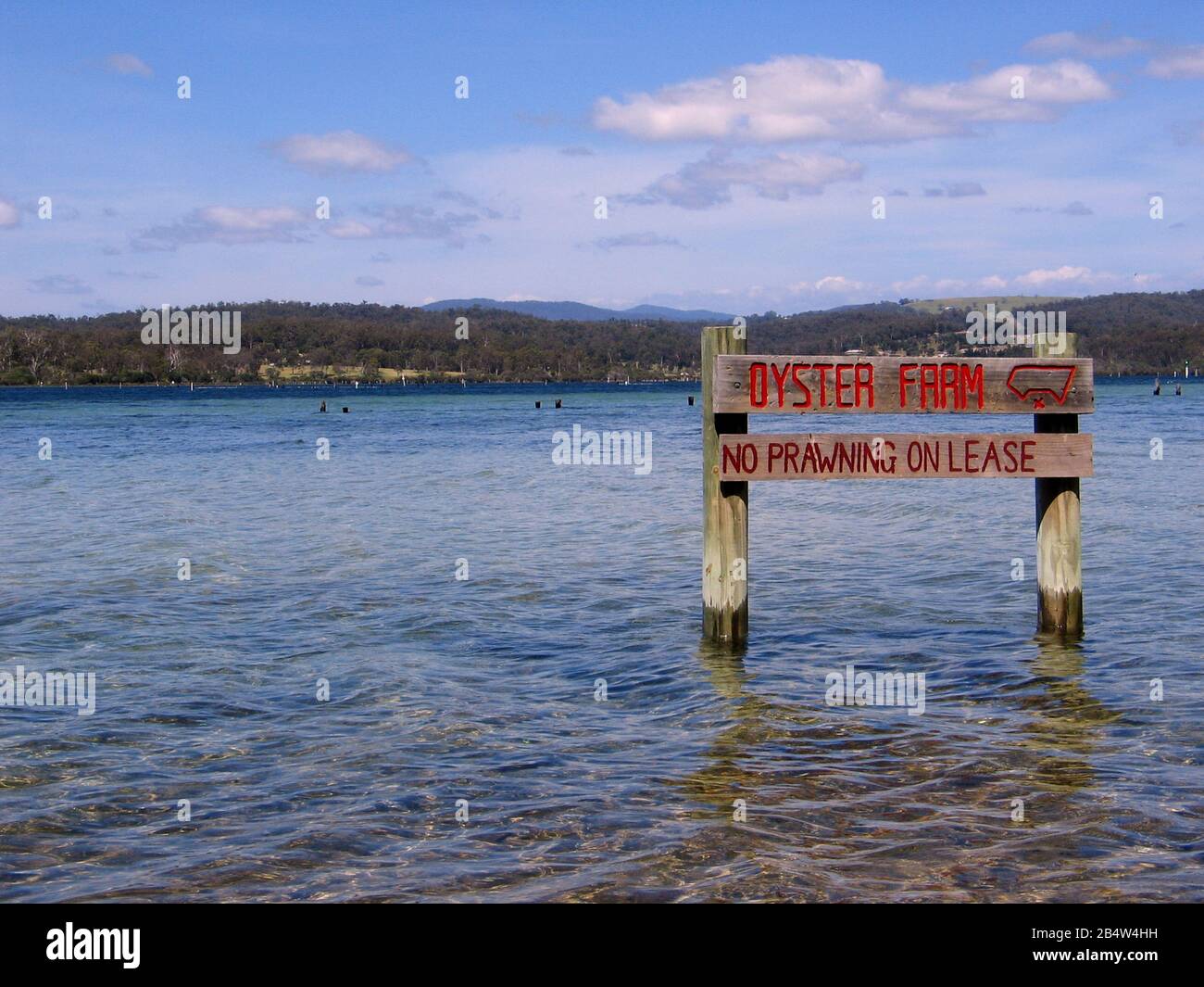 Merimbula oyster hires stock photography and images Alamy