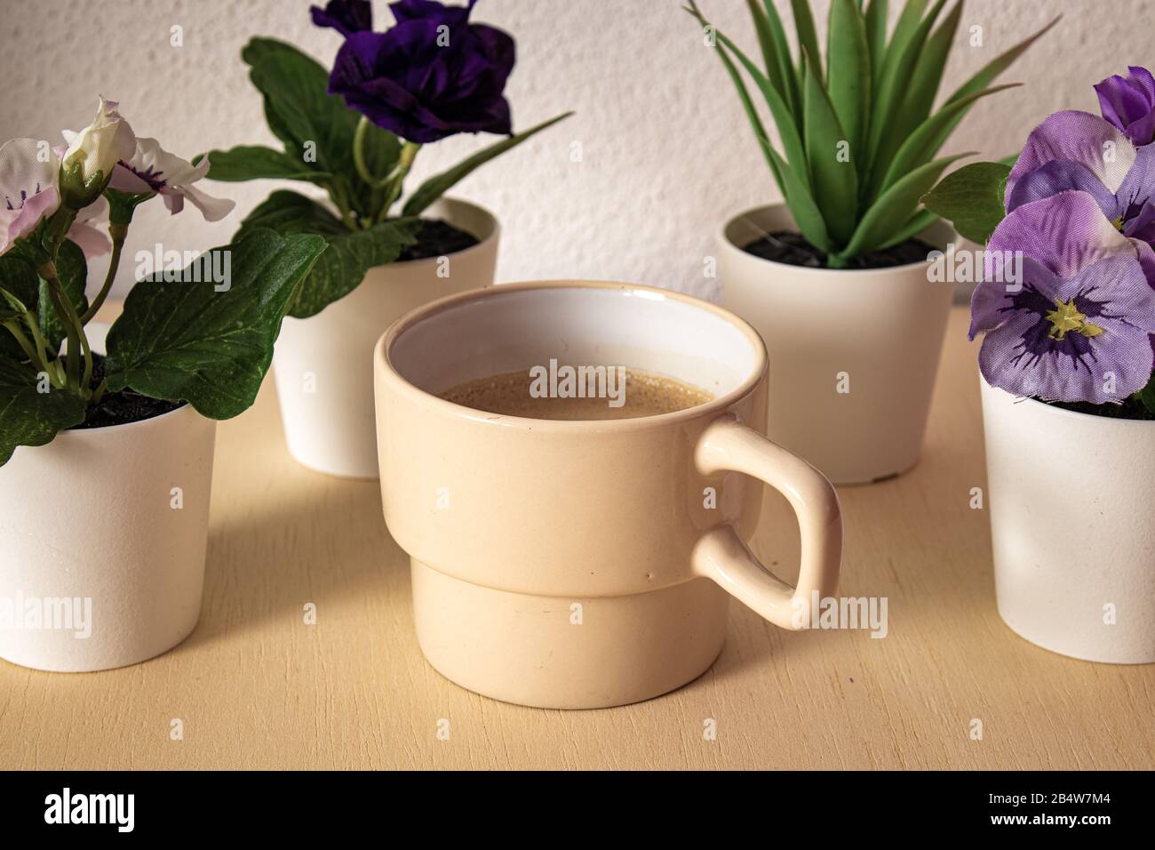 This scene features a set of five items, four plants in white little pots and one coffee in a light brown cup. The items stand on a wooden board with Stock Photo