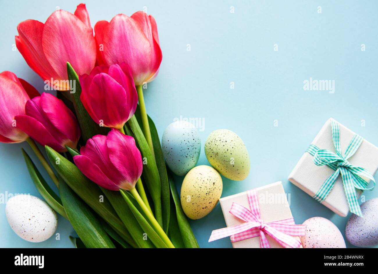 Spring tulip flowers, Easter eggs and gift box on pastel blue ...