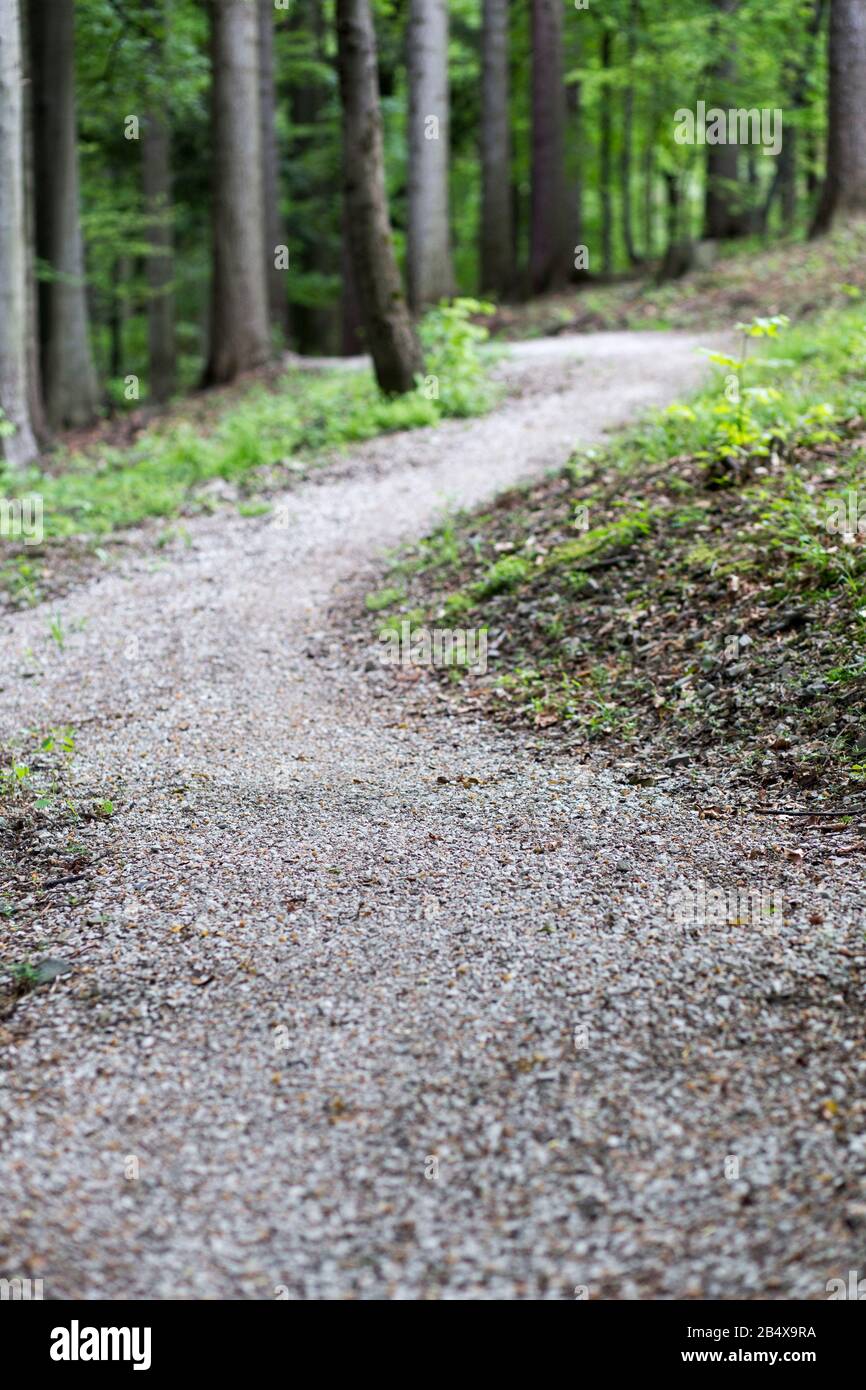 Empty gravel pathway hiking hi-res stock photography and images - Alamy