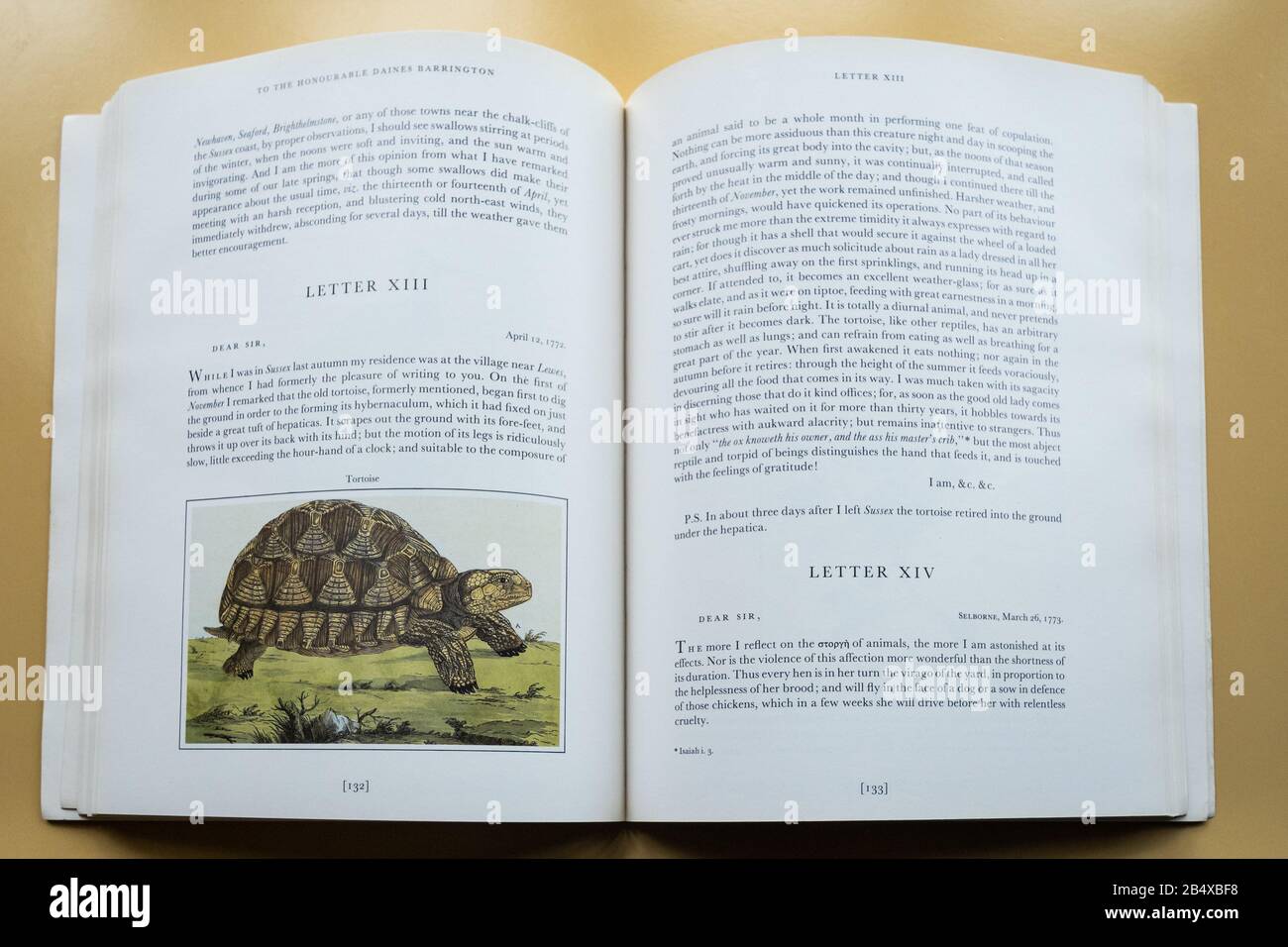 The Illustrated Natural History of Selborne, a famous book by 18th century British naturalist Gilbert White, opened showing drawing of a tortoise Stock Photo
