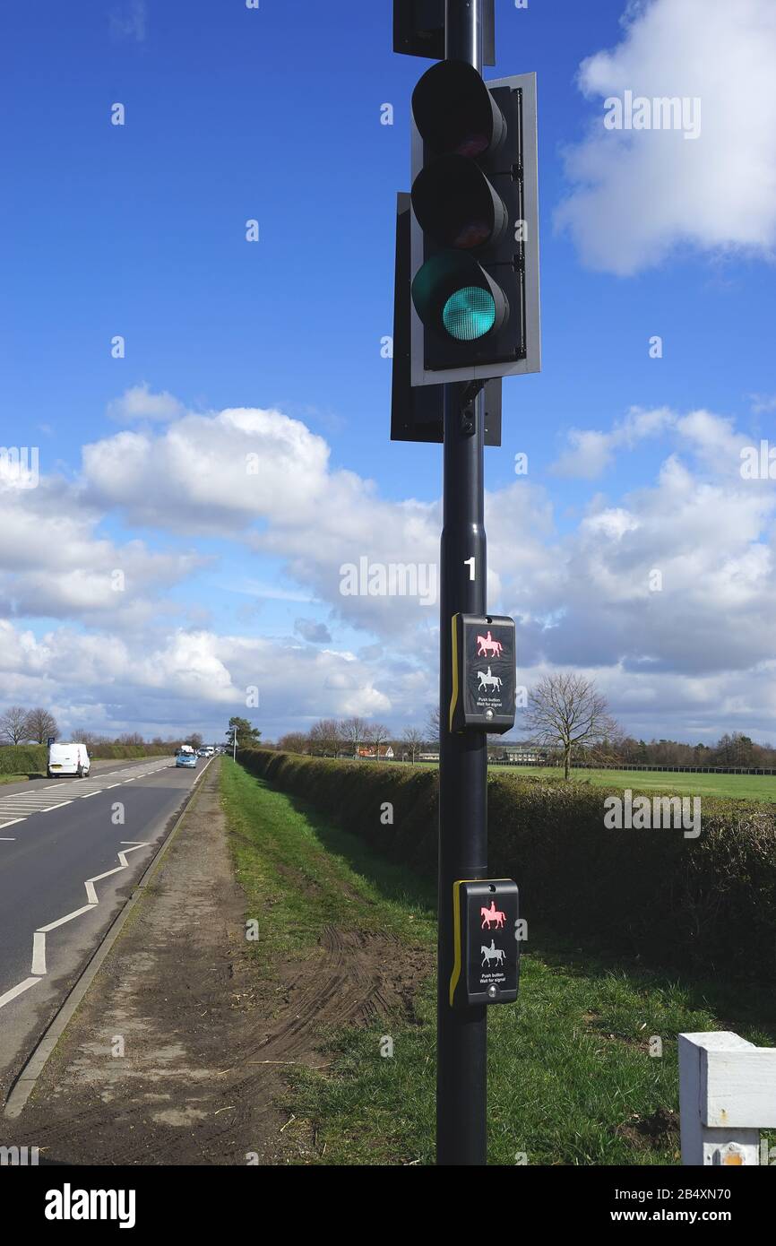 Pedestrian and equestrian 'pegasus' road crossing at Newmarket near the Rowley Mile Racecourse Stock Photo